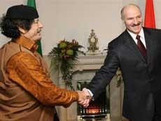 Каддафи может укрыться в Белоруссии
